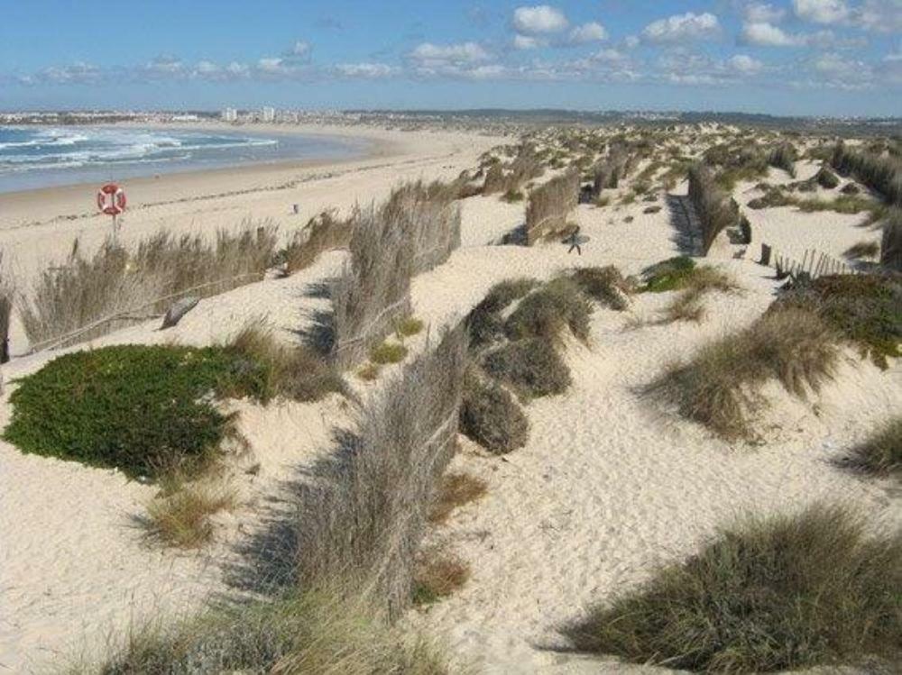 Casa Luisa Apartment Peniche